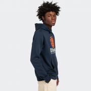 ELEMENT VERTICAL HOODIE
