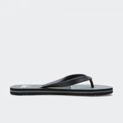 QUIKSILVER MOLOKAI TIJUANA FLIP FLOPS