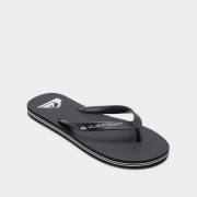 QUIKSILVER MOLOKAI CORE