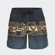 QUIKSILVER EVERYDAY WORDBLOCK VOLLEY 17