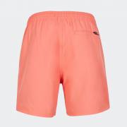 O'NEILL Cali 16" Shorts