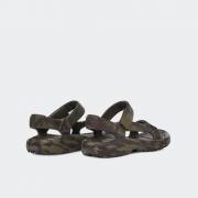 TEVA Hurricane Drift