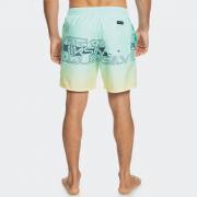 QUIKSILVER EVERYDAY WORDBLOCK VOLLEY 17