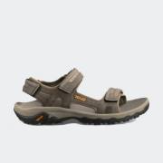 TEVA Hudson