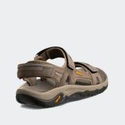 TEVA Hudson
