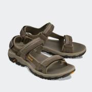 TEVA Hudson
