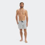 QUIKSILVER EVERYDAY DELUXE VOLLEY 15