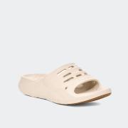 TEVA ApreTrail Slide