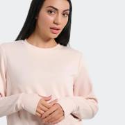 BODYTALK SCUBA CREWNECK LS