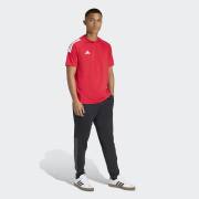 ADIDAS M SERENO PT