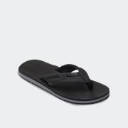 QUIKSILVER CARVER SQUISH 26