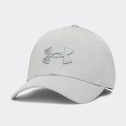 UNDER ARMOUR Men's Blitzing