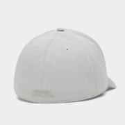 UNDER ARMOUR Men's Blitzing