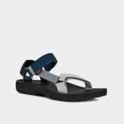 TEVA WINSTED