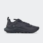 TIMBERLAND MOTION ACCESS