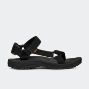 TEVA WINSTED