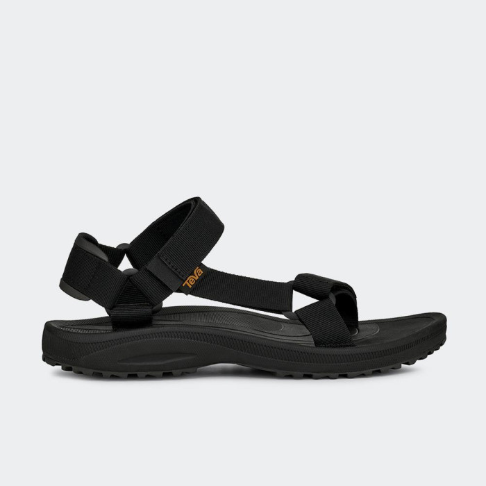 TEVA WINSTED