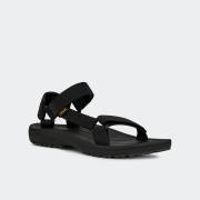 TEVA WINSTED