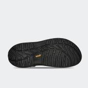 TEVA WINSTED
