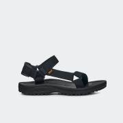 TEVA WINSTED
