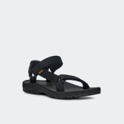 TEVA WINSTED