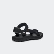 TEVA WINSTED