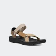 TEVA WINSTED