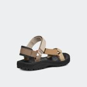 TEVA WINSTED