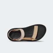 TEVA WINSTED