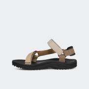 TEVA WINSTED