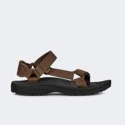 TEVA WINSTED