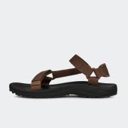 TEVA WINSTED