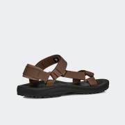 TEVA WINSTED