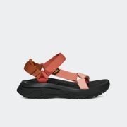 TEVA HURRICANE XLT3