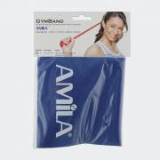 AMILA ΛΑΣΤΙΧΟ ΑΝΤΙΣΤΑΣΗΣ GYMBAND 1.2m HEAVY