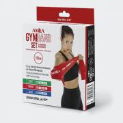 AMILA ΣΕΤ ΤΡΙΩΝ ΛΑΣΤΙΧΩΝ GYMBAND 1.2m