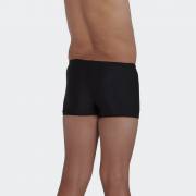 Speedo Plastisol Placement Aquashort